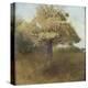 le chêne-Odilon Redon-Premier Image Canvas