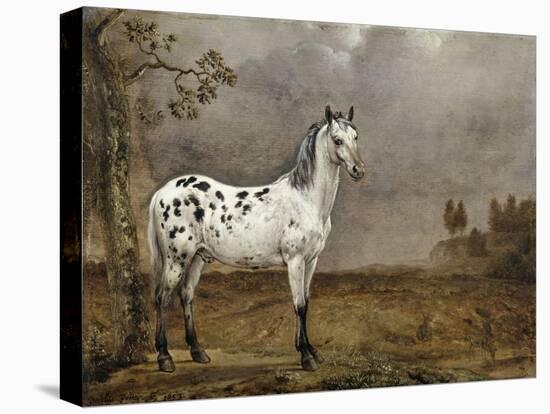 Le Cheval pie-Paulus Potter-Premier Image Canvas