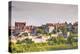 Le Clos Vineyard Below the Hilltop Village of Vezelay in Burgundy, France, Europe-Julian Elliott-Premier Image Canvas