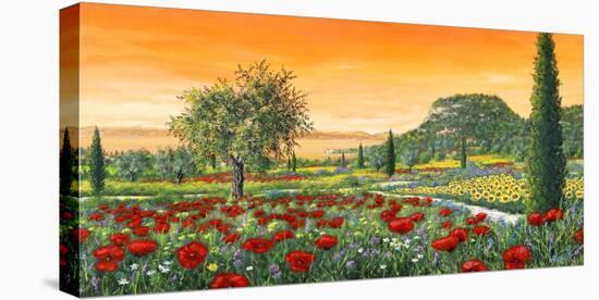 Le Colline in Fiore-Tebo Marzari-Stretched Canvas