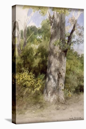 Le Gros chêne-Rosa Bonheur-Premier Image Canvas