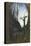 Le Juif-Errant-Gustave Moreau-Premier Image Canvas