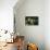 Le Petit Bougnat (photo)-null-Stretched Canvas displayed on a wall