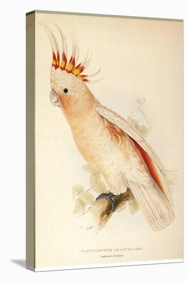 Leadbeater'S, Major Mitchell'S, or Pink Cockatoo-Edward Lear-Premier Image Canvas