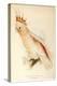 Leadbeater'S, Major Mitchell'S, or Pink Cockatoo-Edward Lear-Premier Image Canvas