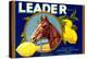 Leader Lemon Label-null-Stretched Canvas