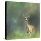 Leader of the Herd White Tailed Buck-Jai Johnson-Premier Image Canvas