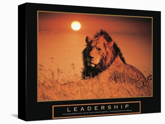 Leadership - Lion-Unknown Unknown-Stretched Canvas