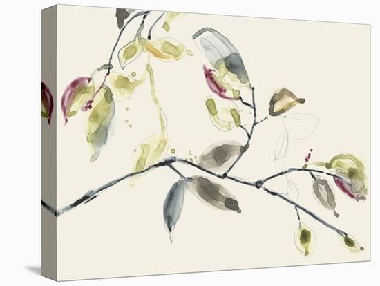 Leaf Branch II-Jennifer Goldberger-Stretched Canvas