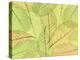 Leaf Collage I-Kathy Mahan-Premier Image Canvas