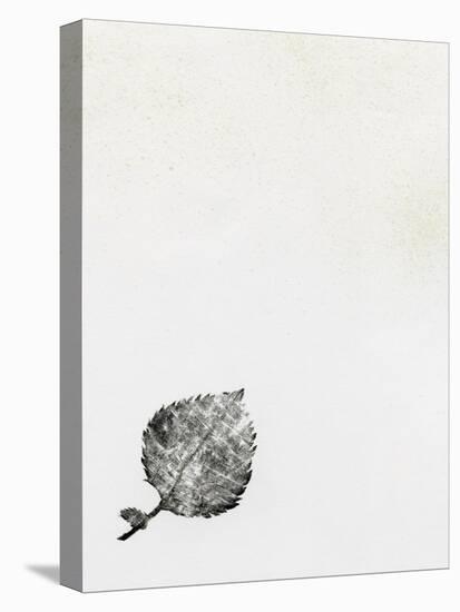 Leaf {Fay-Erie Dust}, 2014-Bella Larsson-Premier Image Canvas