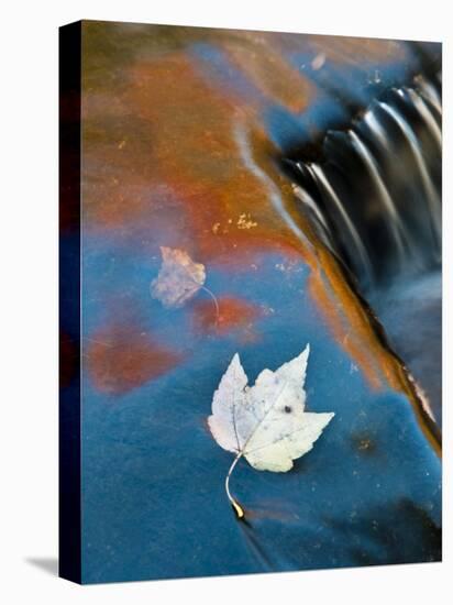 Leaf Floating in Fall Reflections, Bond Falls, Upper Peninsula, Michigan, USA-Nancy Rotenberg-Premier Image Canvas