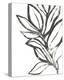 Leaf Instinct II-June Vess-Stretched Canvas
