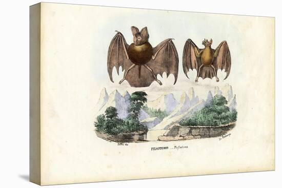 Leaf-Nosed Bats, 1863-79-Raimundo Petraroja-Premier Image Canvas