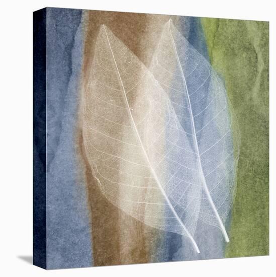 Leaf Structure I-John Rehner-Stretched Canvas