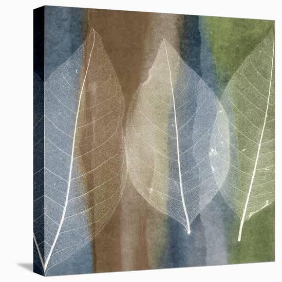 Leaf Structure II-John Rehner-Stretched Canvas