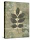 Leaf Textures II-Norman Wyatt Jr.-Stretched Canvas