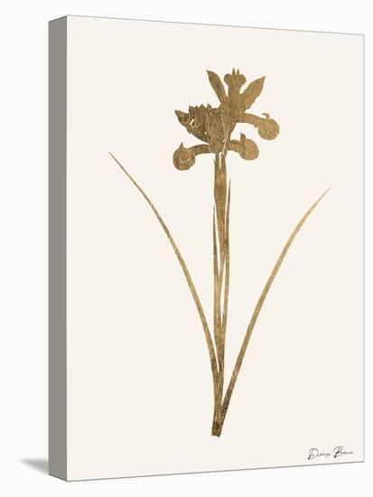 Leafed Botanical 2-Ann Bailey-Stretched Canvas