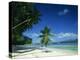 Leaning Palm Tree and Beach, Anse Severe, La Digue, Seychelles, Indian Ocean, Africa-Lee Frost-Premier Image Canvas