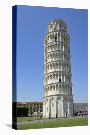 Leaning Tower (Torre Pendente), Tuscany-Peter Richardson-Premier Image Canvas