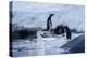 Leaping Gentoo Penguins on Wiencke Island, Antarctica-Paul Souders-Premier Image Canvas