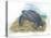 Leatherback Sea Turtle Dermochelys Coriacea Laying Eggs-null-Premier Image Canvas