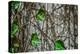 Leaves and Vines-null-Stretched Canvas