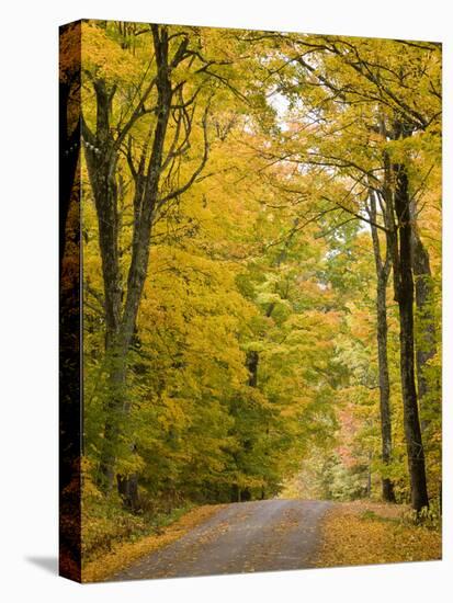 Leaves Fall from Sugar Maple Trees Lining a Dirt Road in Cabot, Vermont, Usa-Jerry & Marcy Monkman-Premier Image Canvas