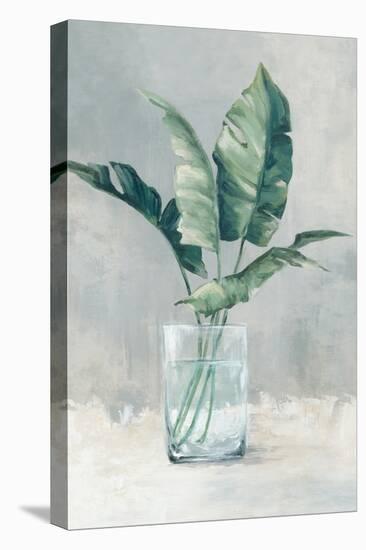 Leaves in a Glass II-Alex Black-Stretched Canvas