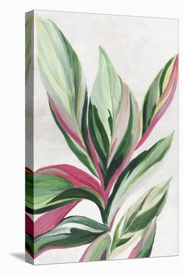 Leaves of Pink II-Asia Jensen-Stretched Canvas