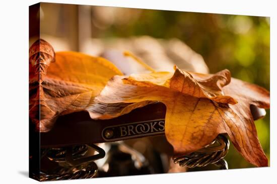 Leaves on Saddle-Philippe Sainte-Laudy-Premier Image Canvas