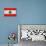 Lebanon Flag Design with Wood Patterning - Flags of the World Series-Philippe Hugonnard-Stretched Canvas displayed on a wall