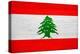 Lebanon Flag Design with Wood Patterning - Flags of the World Series-Philippe Hugonnard-Stretched Canvas