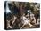 Leda and the Swan-Correggio-Premier Image Canvas