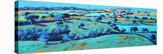 Ledbury, 2021 (acrylic on board)-Paul Powis-Premier Image Canvas