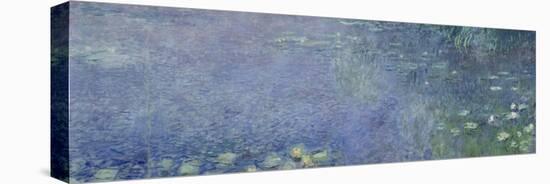 Left Centre Piece of the Large Water Lily Painting in the Musée De L'Orangerie-Claude Monet-Premier Image Canvas