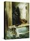 Left in Charge - a Black Pomerain on the Steps of a Bathing Machine-Philip Eustace Stretton-Premier Image Canvas