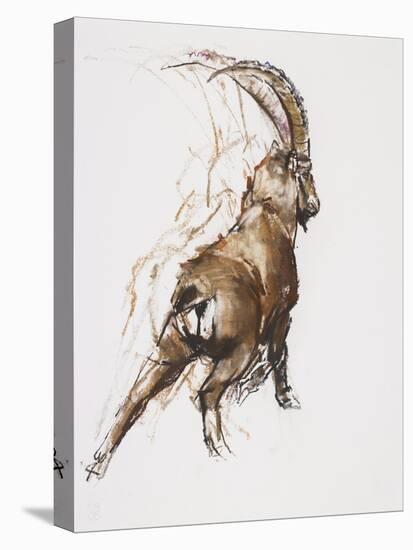 Leg Stretch-Mark Adlington-Premier Image Canvas