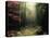 Legendary Forest in Brittany-Philippe Manguin-Premier Image Canvas
