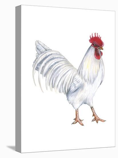 Leghorn (Gallus Gallus Domesticus), Rooster, Poultry, Birds-Encyclopaedia Britannica-Stretched Canvas