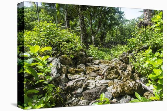 Lelu (Leluh) archaeological site, Kosrae, Federated States of Micronesia, South Pacific-Michael Runkel-Premier Image Canvas