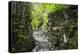 Lelu (Leluh) archaeological site, Kosrae, Federated States of Micronesia, South Pacific-Michael Runkel-Premier Image Canvas