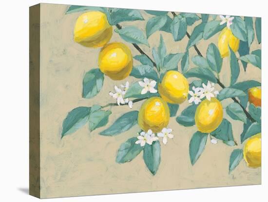 Lemon Branch-Wellington Studio-Stretched Canvas