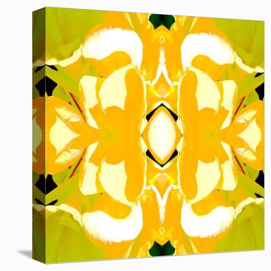 Lemon Canna2-Rose Anne Colavito-Stretched Canvas