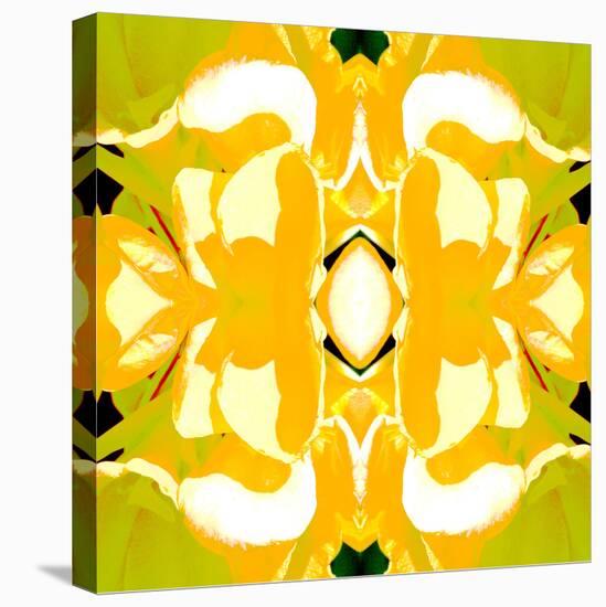 Lemon Canna2-Rose Anne Colavito-Stretched Canvas