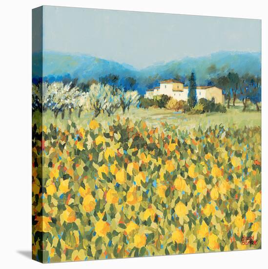 Lemon Grove, Tuscany-Hazel Barker-Stretched Canvas