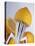 Lemon Half on Metal Juicer-Alexander Feig-Premier Image Canvas