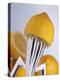 Lemon Half on Metal Juicer-Alexander Feig-Premier Image Canvas