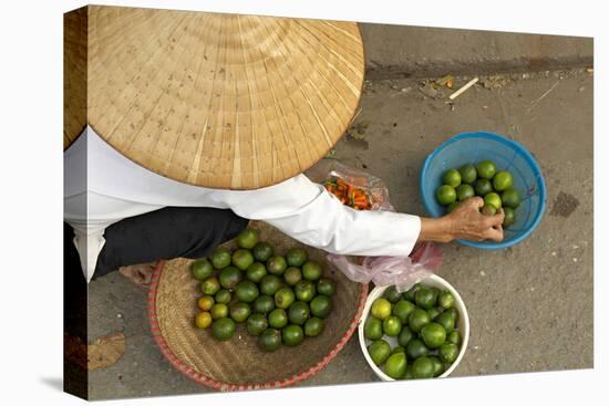 Lemon Seller, Market in the Old Quarter, Hanoi, Vietnam, Indochina, Southeast Asia, Asia-Bruno Morandi-Premier Image Canvas