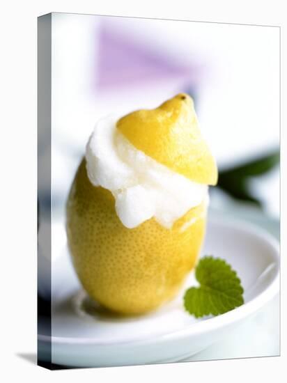 Lemon Sorbet in a Hollowed-out Lemon-Alena Hrbkova-Premier Image Canvas